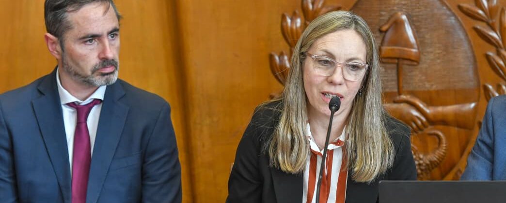 jorgelina alvarez diserta jornada salud y justicia 2025